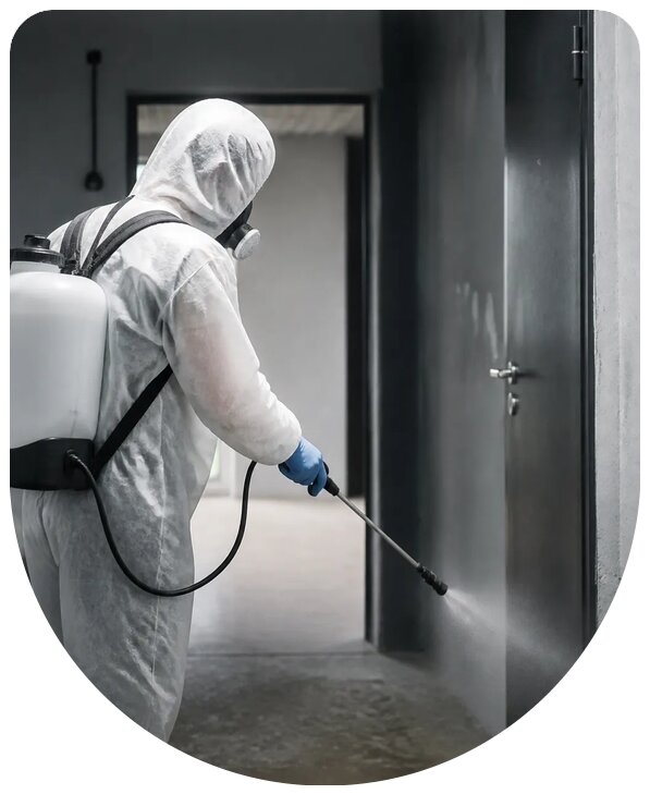 Профессиональная антисептическая обработка помещений в Изобильном